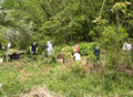 公園での野草園づくりの様子